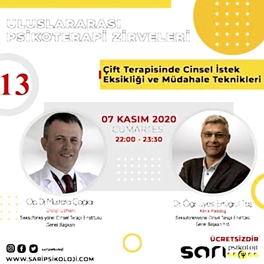Çift Danışmanlığınde Cinsel İstek Eksikliği ve Müdahale Teknikleri