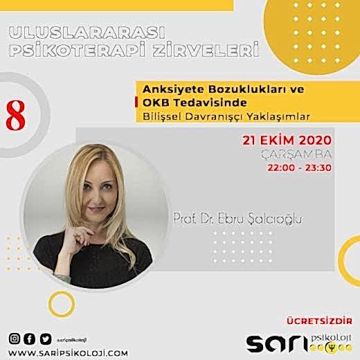 Anksiyete Bozuklukları ve OKB Konusundande Bilişsel Davranışçı Yaklaşımlar