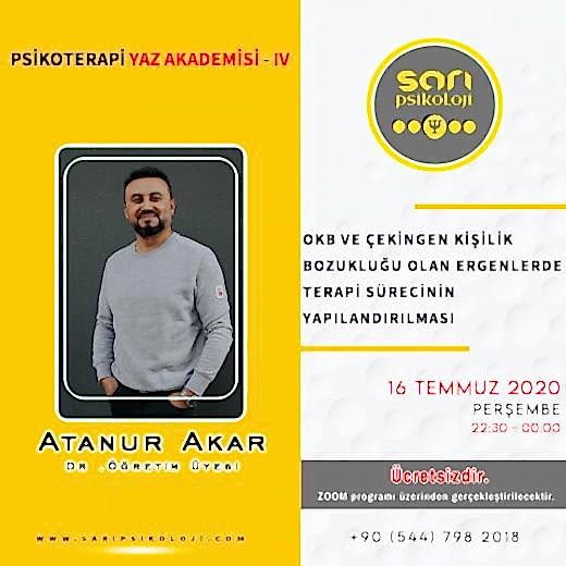 Obsesif Kompülsif Bozukluk ve Çekingen Kişilik Bozukluğu Olan Ergenlerde Danışmanlığı Sürecinin Yapılandırılması