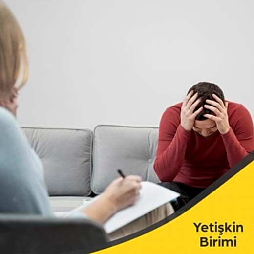 Yetişkin Danışmanlığı
